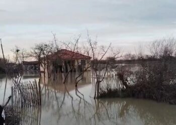 Çahet argjinatura e Semanit, përmbyten 20 banesa dhe toka bujqësore në Libofshë