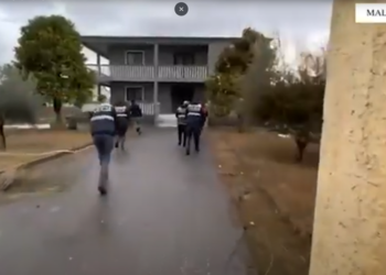 Zbulohet një ‘shtëpi bari’ në Malësi të Madhe, 1 në pranga, ndalohen 4 punonjës të OSHEE