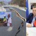 Si Agron Malaj s’do ketë për 100 vite/ Rruga 1.3 milionë EURO u shemb për 6 muaj, elozhet e nipit të ‘ULZA sh.p.k’ për DEPUTETIN e PS!