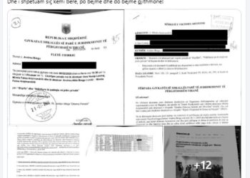 “Larg duart nga fëmijët”/ Goxhaj denoncon ndjekje penale ndaj Andrea Bregut