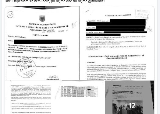 “Larg duart nga fëmijët”/ Goxhaj denoncon ndjekje penale ndaj Andrea Bregut