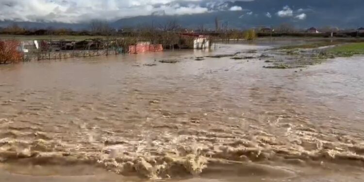 Situatë kaotike edhe në Korçë e Pogradec, uji përmbyt rrugë dhe banesa