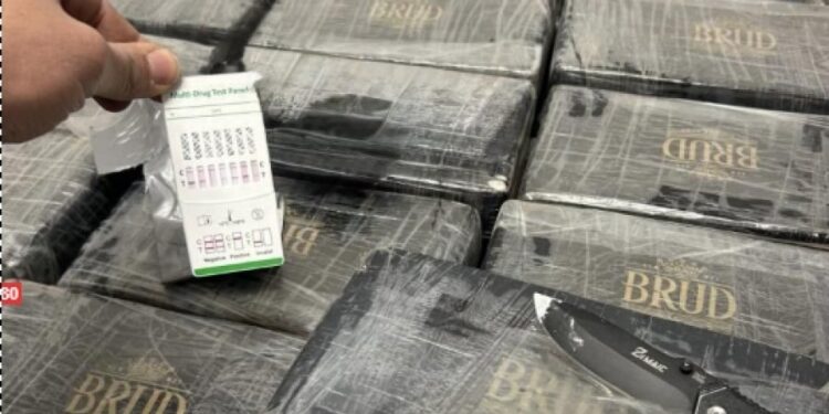 Sekuestrohen mbi 160 kg kokainë në Itali, arrestohen dy shqiptarë