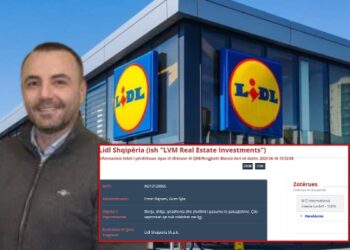 Kush fshihet pas “Lidl”? Dy administratorët me “aventurë” nga tregu imobiliar te porti më i rëndësishëm i vendit