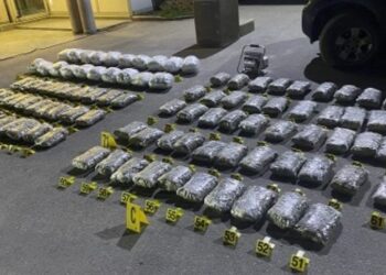 Policia e Kosovës konfiskon mbi 80 kg marihuanë, arrestohen 3 persona