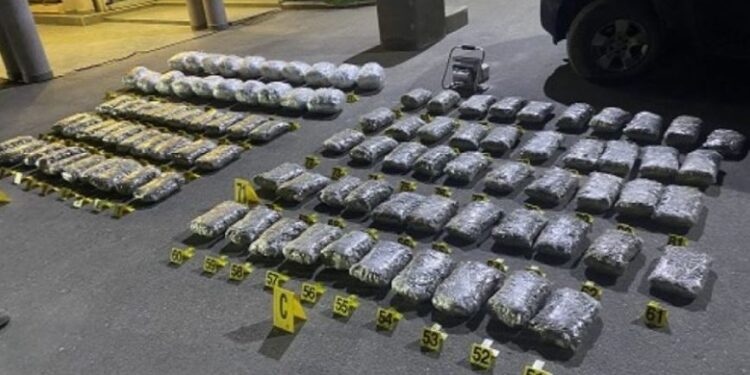 Policia e Kosovës konfiskon mbi 80 kg marihuanë, arrestohen 3 persona