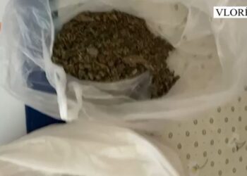 Furnizonte Vlorën me kanabis, arrestohet 35-vjeçari