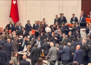 Plas grushti në Parlament
