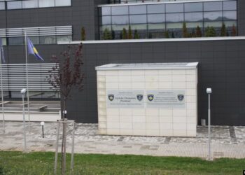 Vrau partneren nga Argjentina, dënohet me 18 vite burg kosovari