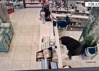 Autore e disa vjedhjeve me dhunë, arrestohet ‘skifterja’ 26-vjeçare në Tiranë