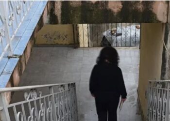 Skandaloze/ Qendra shëndetësore në Fier me myk, rrezik për pacientët dhe stafin mjekësor