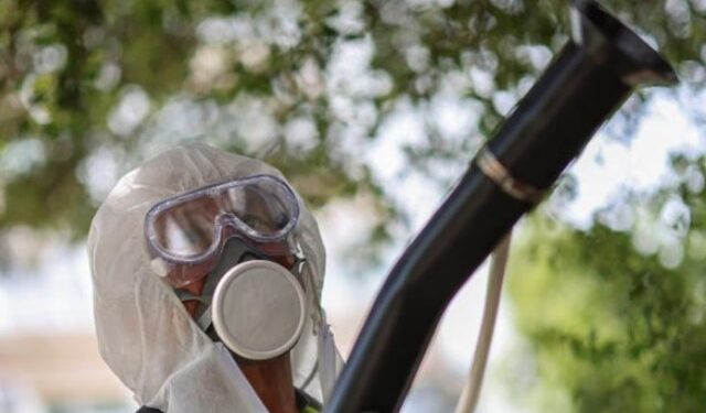 Ky virus i rrezikshëm mund të përhapet në pjesën më të madhe të Evropës