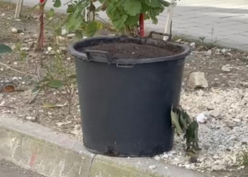 Gjendet një kovë me përzierje kimike në Vlorë, ambientalisti: Është e rrezikshme, mund të shpërthejë