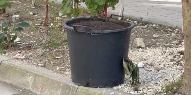 Gjendet një kovë me përzierje kimike në Vlorë, ambientalisti: Është e rrezikshme, mund të shpërthejë
