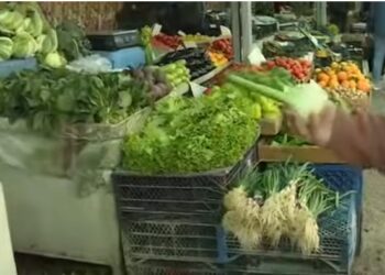 2026 nisi me bilanc negativ, ushqimet dhe qiratë rritën inflacionin në 2,3%