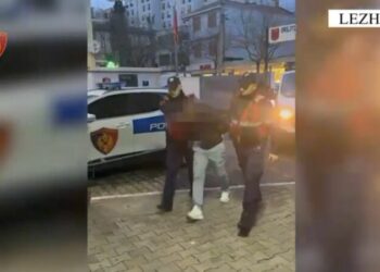 Në kërkim për kultivim droge, arrestohet në Lezhë 34-vjeçari