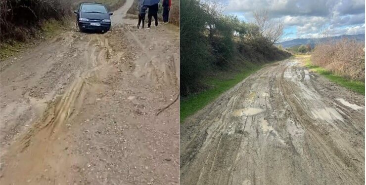 Rrëshqitje dheu në Peqin, dëmtohet rruga, në rrezik edhe 3 banesa