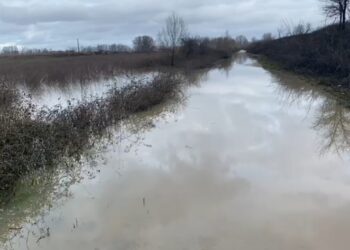 Del nga shtrati lumi Ishëm në Fushë Krujë, përmbyten dhjetëra ha tokë bujqësore