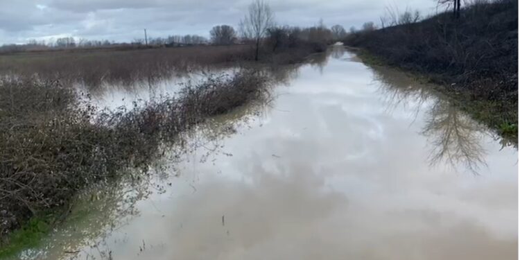 Del nga shtrati lumi Ishëm në Fushë Krujë, përmbyten dhjetëra ha tokë bujqësore
