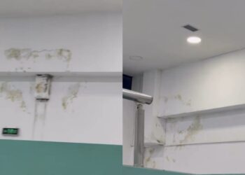 Urgjenca e Beratit e mbuluar nga myku, denoncimi: Vijmë për t’u shëruar, sëmuremi më shumë!