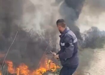 Zjarr në fshatin Sherisht të Vlorës, era e fortë përhap flakët, digjen dhjetëra rrënjë ulliri