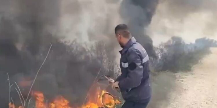 Zjarr në fshatin Sherisht të Vlorës, era e fortë përhap flakët, digjen dhjetëra rrënjë ulliri
