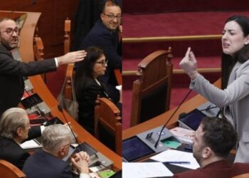 Gjuha fyese ndaj Bardhit, 17 organizata të shoqërisë civile shkresë Kuvendit: Merrni masa ndaj Zegjine Çaushit