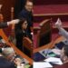 Gjuha fyese ndaj Bardhit, 17 organizata të shoqërisë civile shkresë Kuvendit: Merrni masa ndaj Zegjine Çaushit