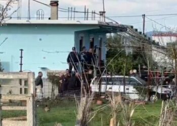 Detaje nga krimi i rëndë në Fier/ I moshuari e tërhoqi gruan zvarrë nga oborri para se ta vriste