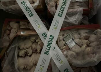 Ruhej në kushte alarmante/ Skandal ushqimor në Tiranë, AKU bllokon 738 kg mish pule të rrezikshëm