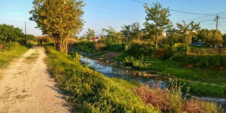 “Vija e Ngjalës” në Fier, ndotje masive dhe rrezik serioz për shëndetin e banorëve