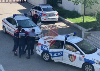 Shkoi për të arrestuar një person në Dibër, plagoset rëndë efektivi i Shqiponjave (EMRI)