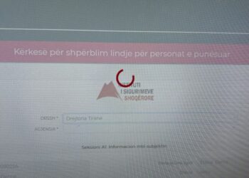 E-Albania xhiron bosh, Bizneset e kalojnë ditën e pushimit me “shtetin online, që nuk punon”