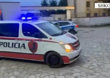 Akuzohet si i implikuar në një ngjarje kriminale, arrestohet i riu në Shkodër