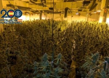 ‘Çmontohet’ organizata shqiptare e drogës në Spanjë, 8 të arrestuar