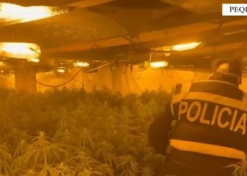 Magazina e kanabisit në Peqin, pezullohen nga detyra shefi i Komisariatit, Shefi i Krimeve dhe 5 të tjerë