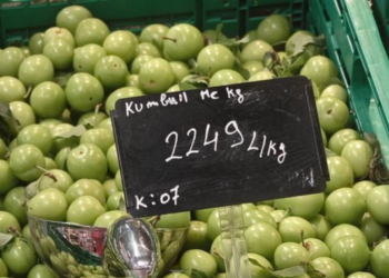 Çmeduria me rritjen e çmimeve, kumbulla shitet 22 mijë lekë/kg