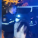 Merrnin apartamente me qira për pr*stitucion në Shkodër, 5 të arrestuar, mes tyre tri kolumbiane