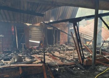 Zjarr në Qafështamë, shkrumbohet një lokal në Parkun Kombëtar