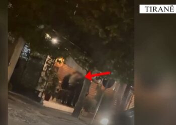 Video/ Operacion antidr*gë në Tiranë, ekzekutohen 17 urdhër-arreste, 16 të tjerë në kërkim