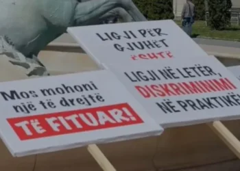 Universiteti i Tiranës mbështet studentët shqiptarë në Maqedoninë e Veriut për përdorimin e gjuhës amtare në arsim