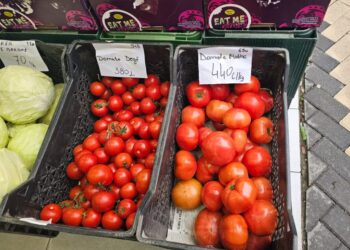 Ankohemi për naftën, por ka mbërritur dhe kriza e domates, kalon 400 lekë/kg!