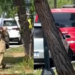 Gra me shami dyshohet se afrojnë fëmijët te një furgon i kuq! Eksperti i sigurisë tregon 3 elementët shqetësues