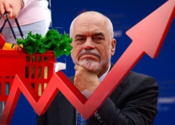 Shporta e shkurtit/ Rriten çmimet për prodhimet e freskëta, bien industrialet