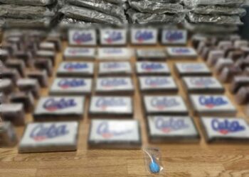 Operacion antidrogë në Greqi, sekuestrohen mbi 300 kg kanabis, arrestohen 3 persona