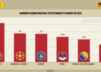 Si po transformohet ekonomia digjitale e Ballkanit, Shqipëria e fundit me njohuritë