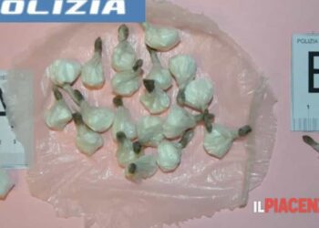 Çmontohet organizata shqiptare e trafikut të drogës në Itali, 20 të arrestuar