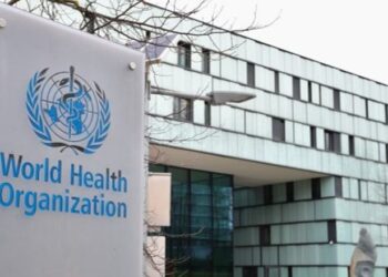 Përhapja e hantavirusit/ OBSH: Rreziku për publikun i ulët