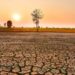 Fenomeni ‘Super El Nino’ mund të ‘djegë’ Ballkanin deri në vitin 2027, sa rrezikohen Shqipëria dhe Kosova