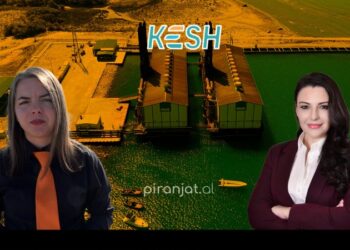 Tigrat e Vlorës, energjia që prodhohet 6 herë më shtrenjtë se sa shitet